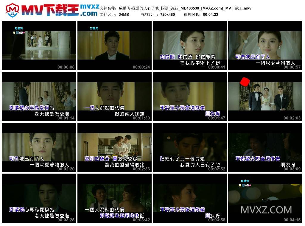 成鹏飞-我爱的人有了他_国语_流行_MB103530